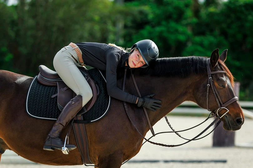 Excellence for Every Equestrian Journey